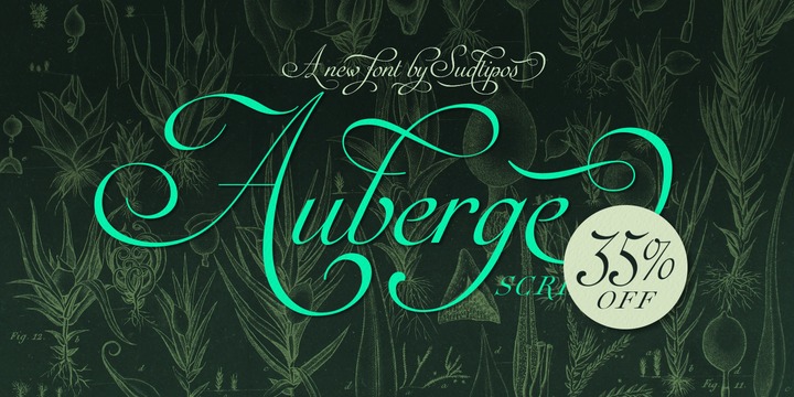 Auberge Script