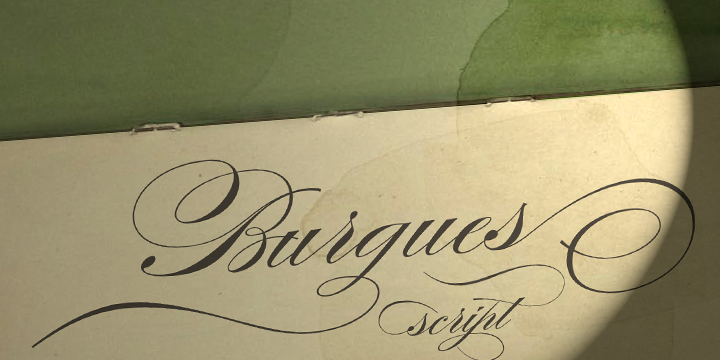 Burgues Script