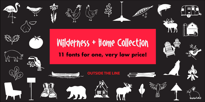 Wildness and Home Collection