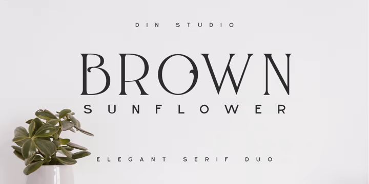 Brown Sunflower