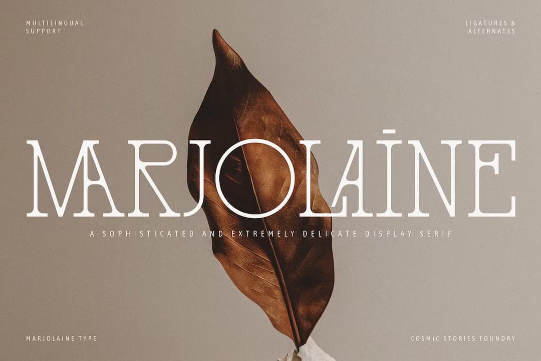 Marjolaine