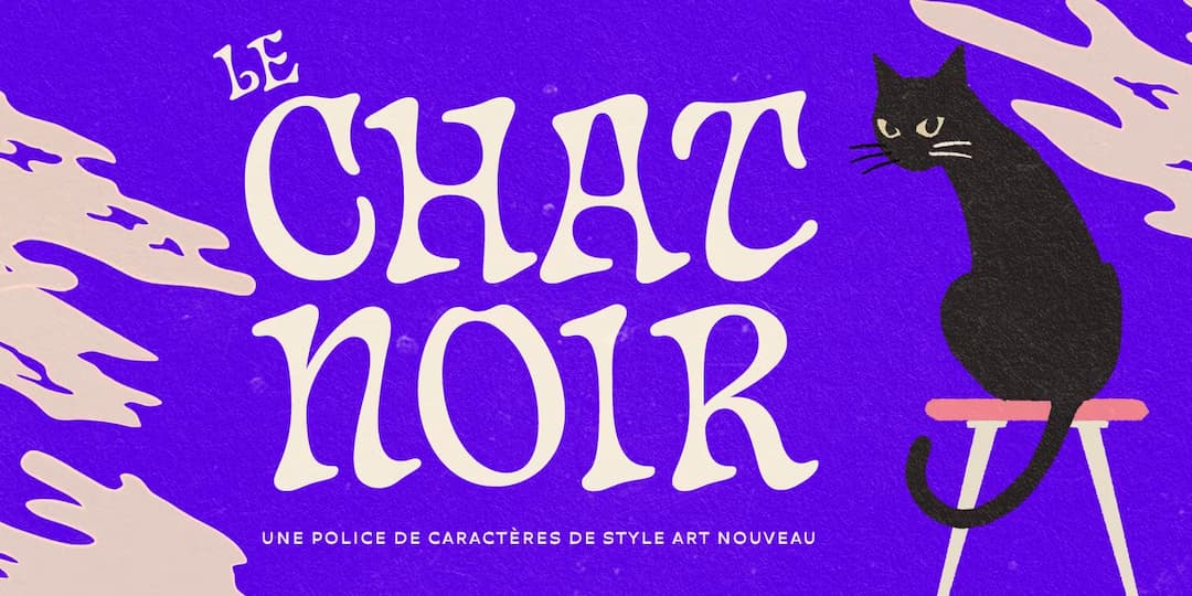 Chat Noir